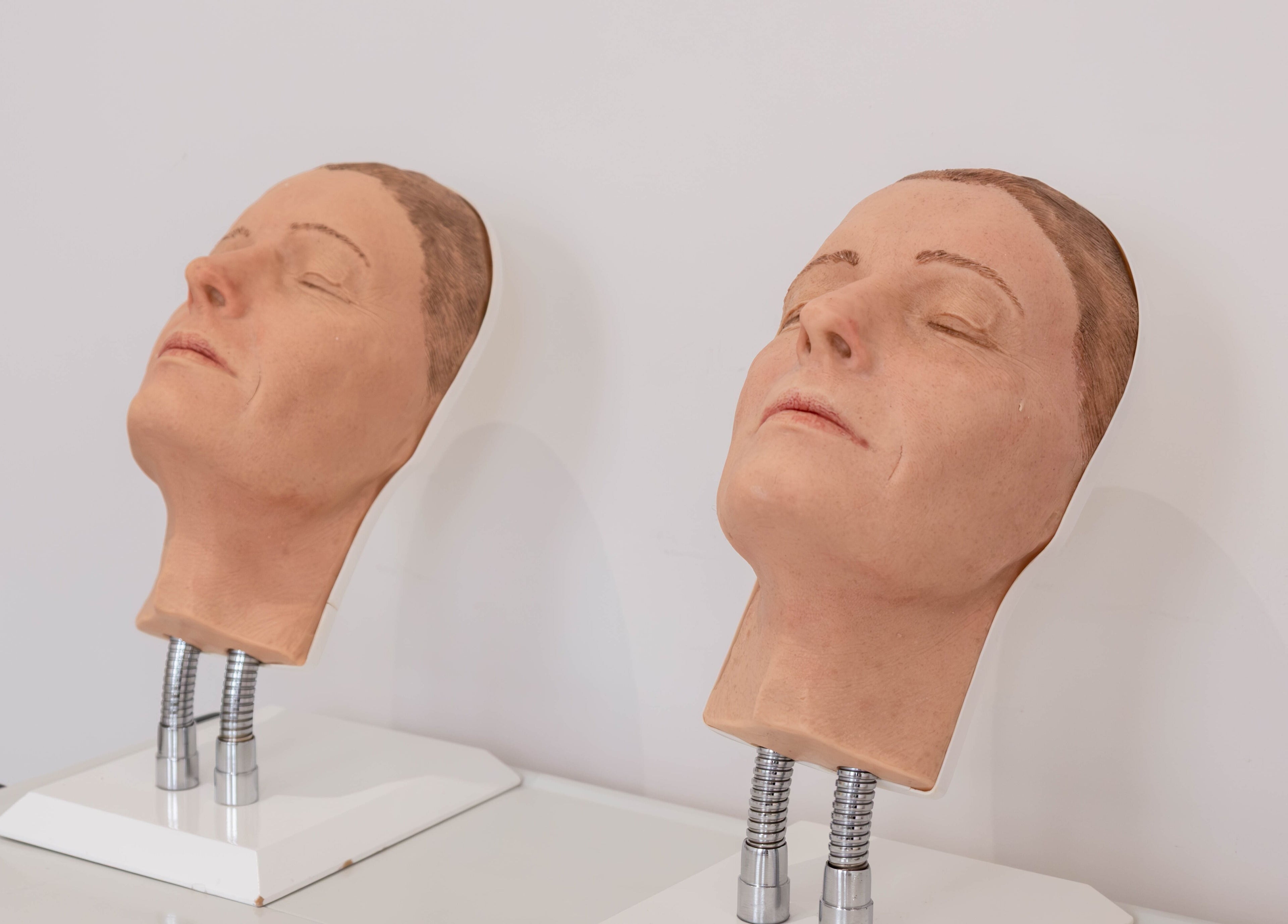 Facial model heads at Dr Kajal Aesthetics, London, England, GB, highlighting advanced beauty treatments.