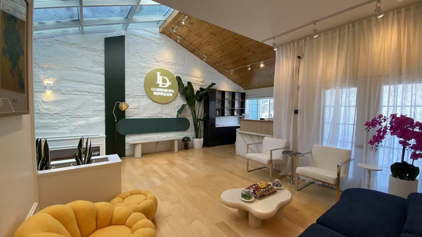 Lounge area at Lu Dream Head SPA 路梦头疗 - Richmond Hill, featuring cozy seating and plants in Richmond Hill, Ontario, CA.
