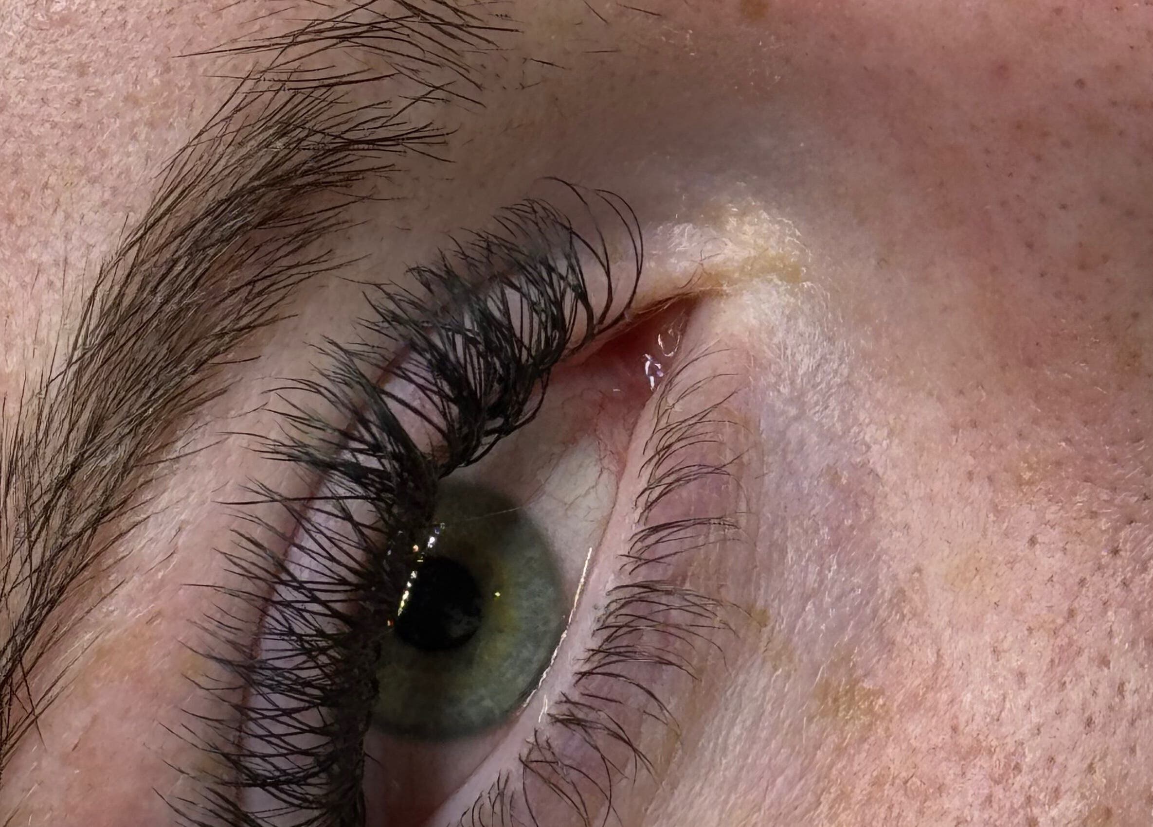 Close-up of styled eyelashes at LZR Lashes, Edgware, England, GB. Highlighting natural beauty and lash care.