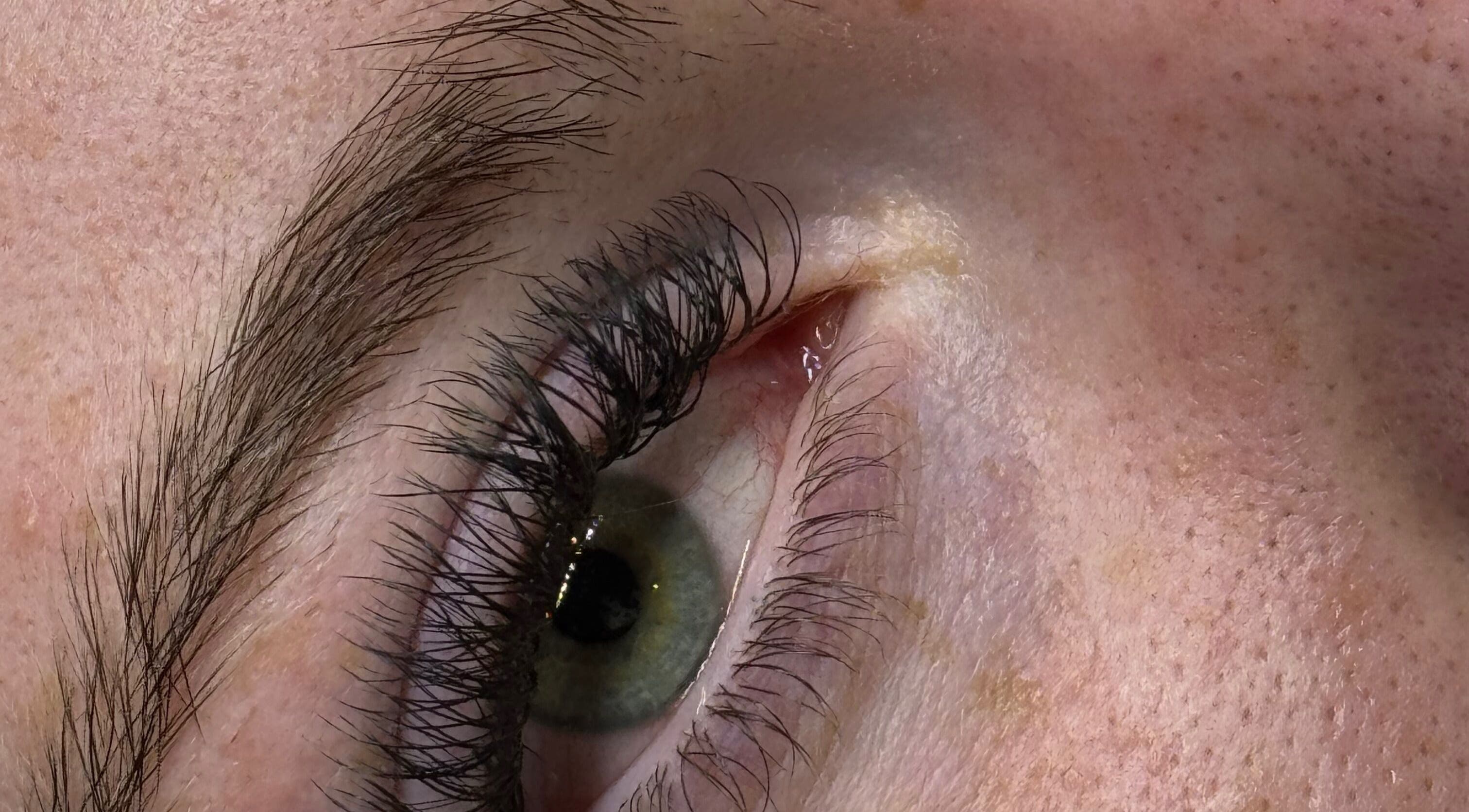 Close-up of styled eyelashes at LZR Lashes, Edgware, England, GB. Highlighting natural beauty and lash care.
