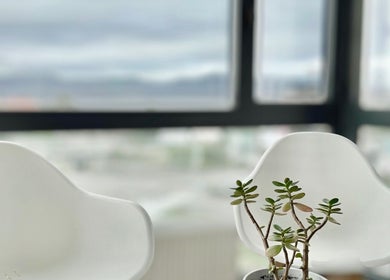 Elegante sala de espera en KEREN HAPUC, Vigo, ES, con sillas modernas y planta decorativa.