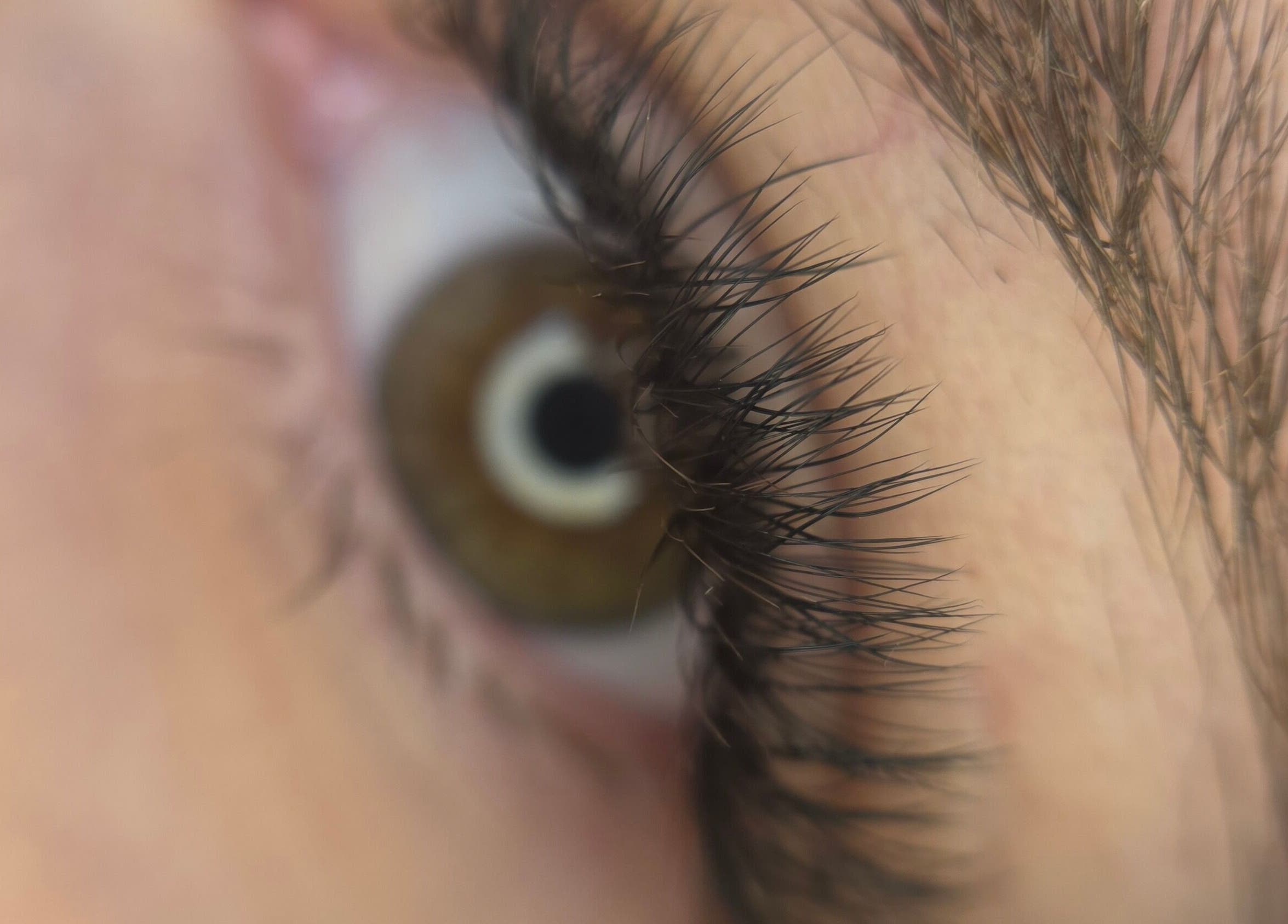 Close-up of naturally long lashes at The Black Veil Lash Co, Boksburg, Gauteng, ZA.