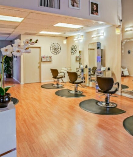 LP Salon Moorpark Bild 2