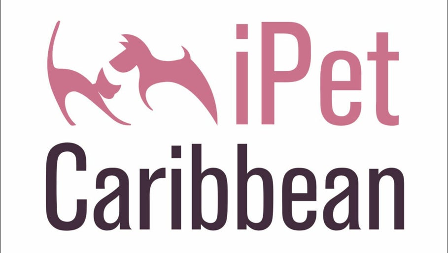 iPet Caribbean imaginea 1
