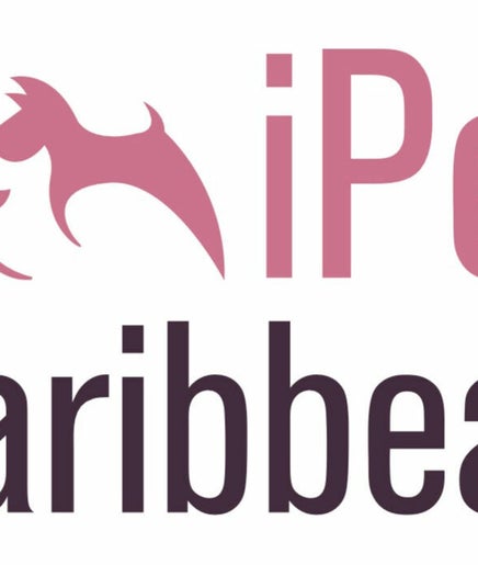 iPet Caribbean imaginea 2