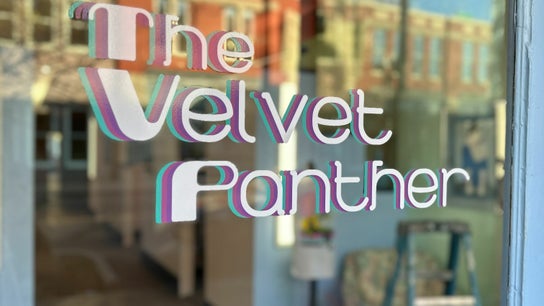 The Velvet Panther