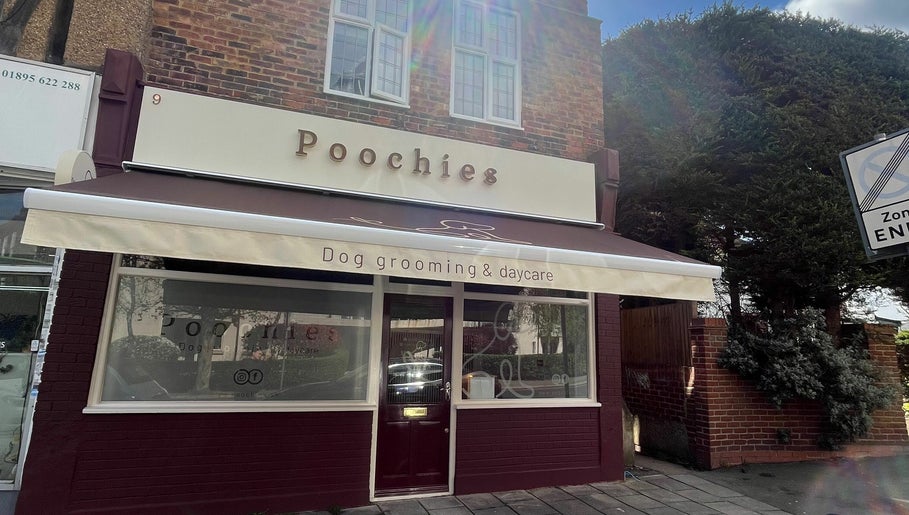 Poochies Dog Grooming and Day care imagem 1