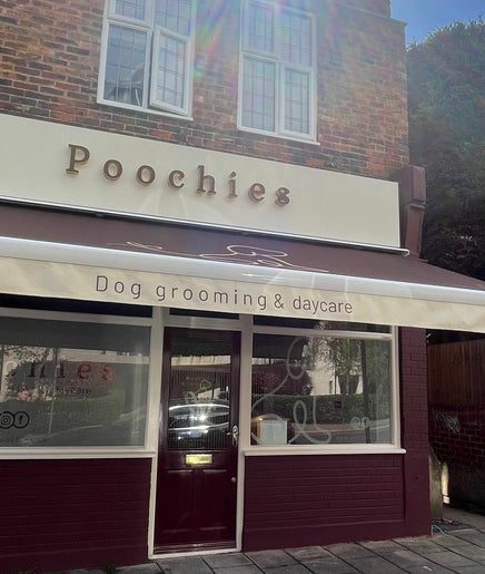 Poochies Dog Grooming and Day care, bild 2