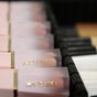 Pariz Beauty Co