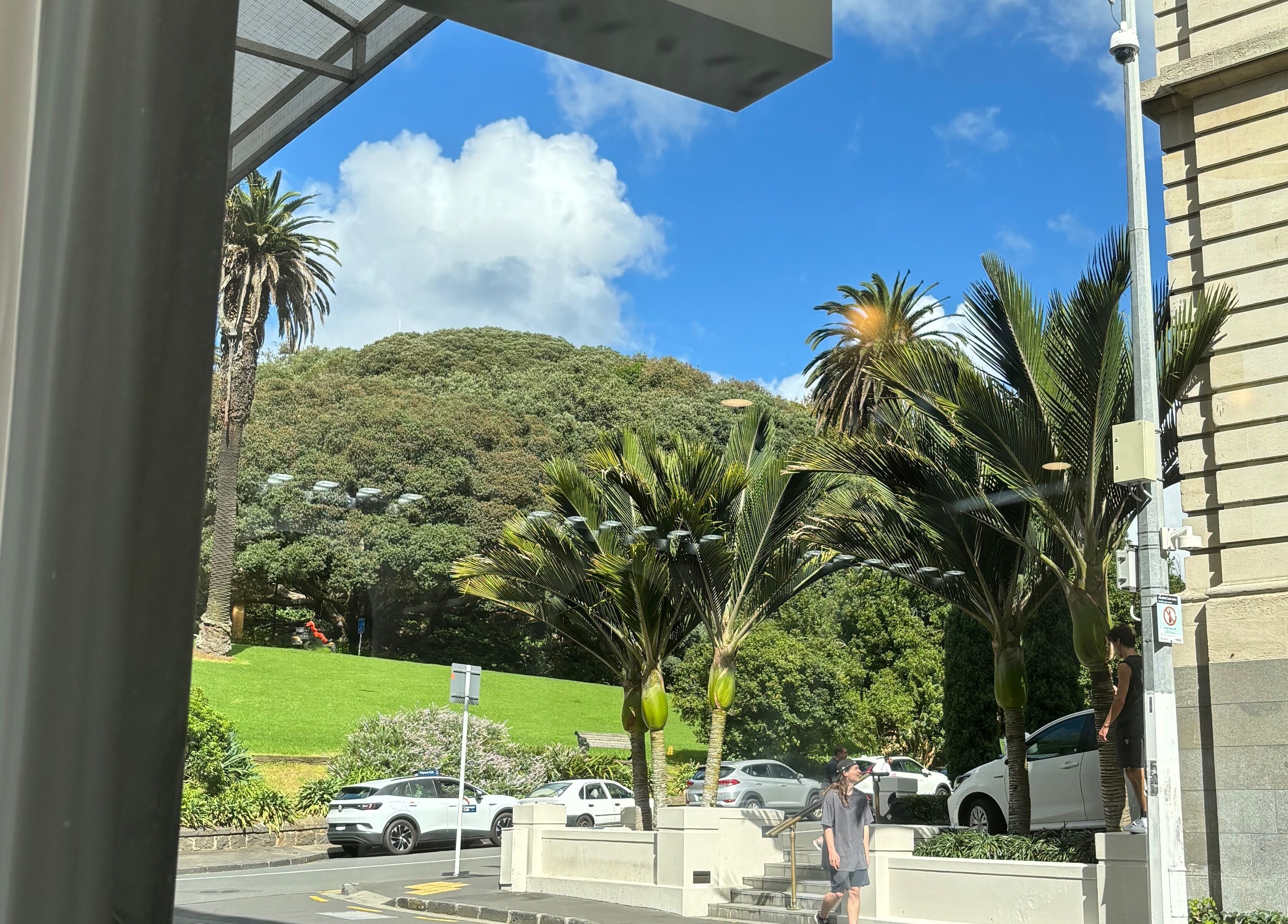 Chloe Hair exterior view with palm trees and lush greenery, Auckland, Auckland, NZ.