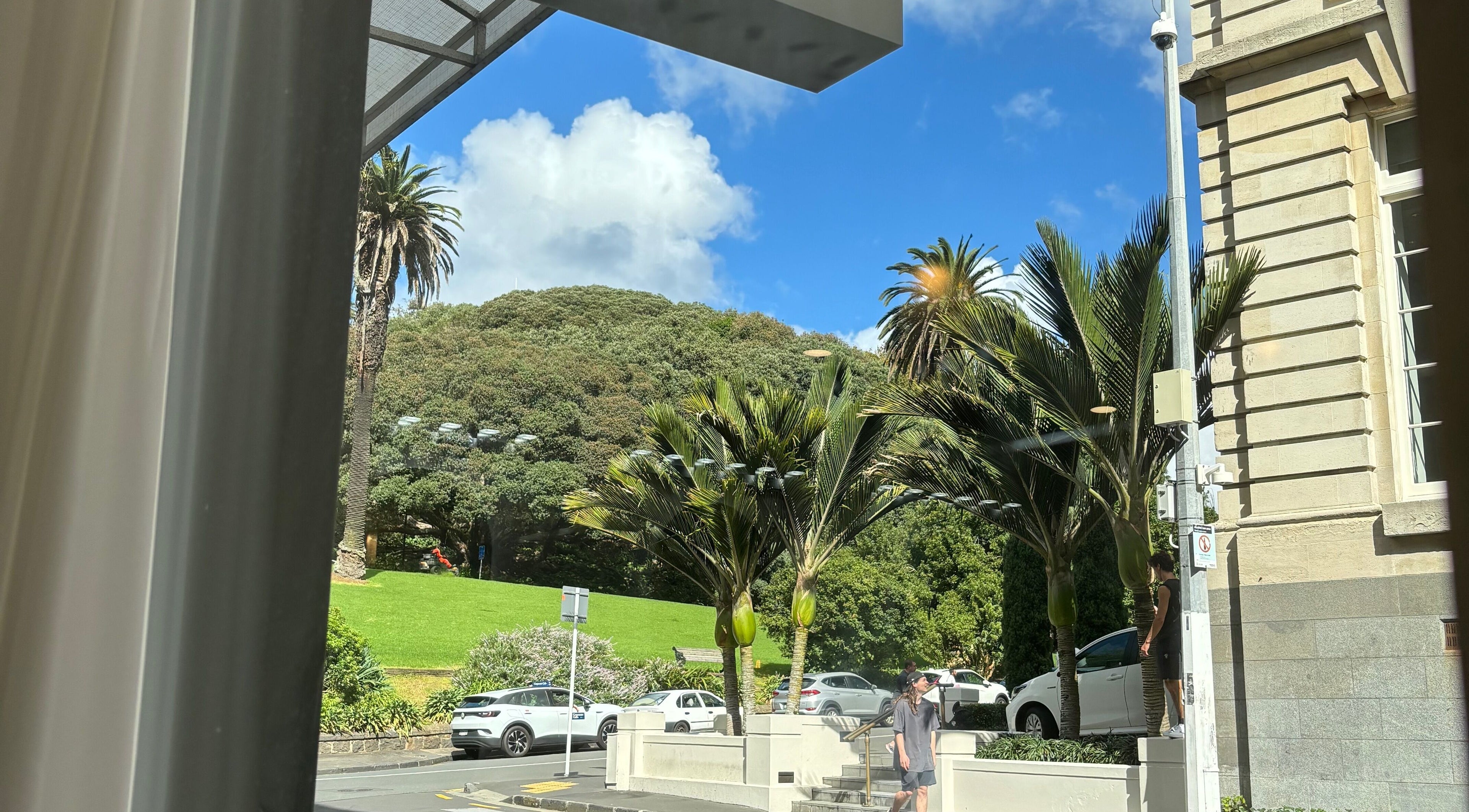 Chloe Hair exterior view with palm trees and lush greenery, Auckland, Auckland, NZ.