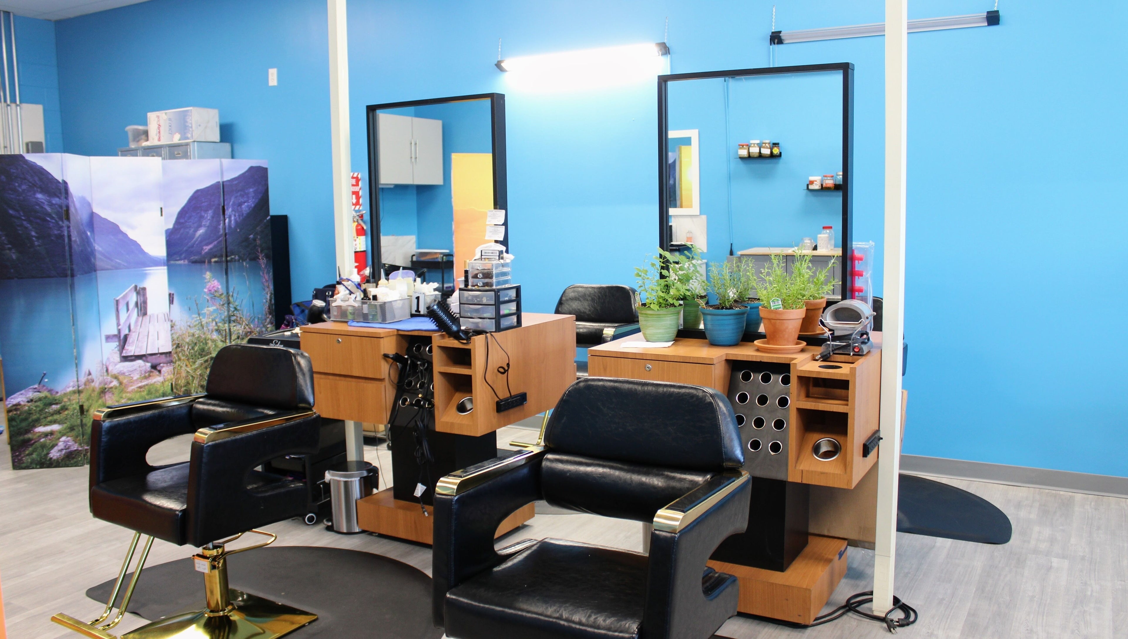 Modern salon chairs and natural decor at Naturally with Nature Hair & Scalp Studio, Columbus, Ohio, US.