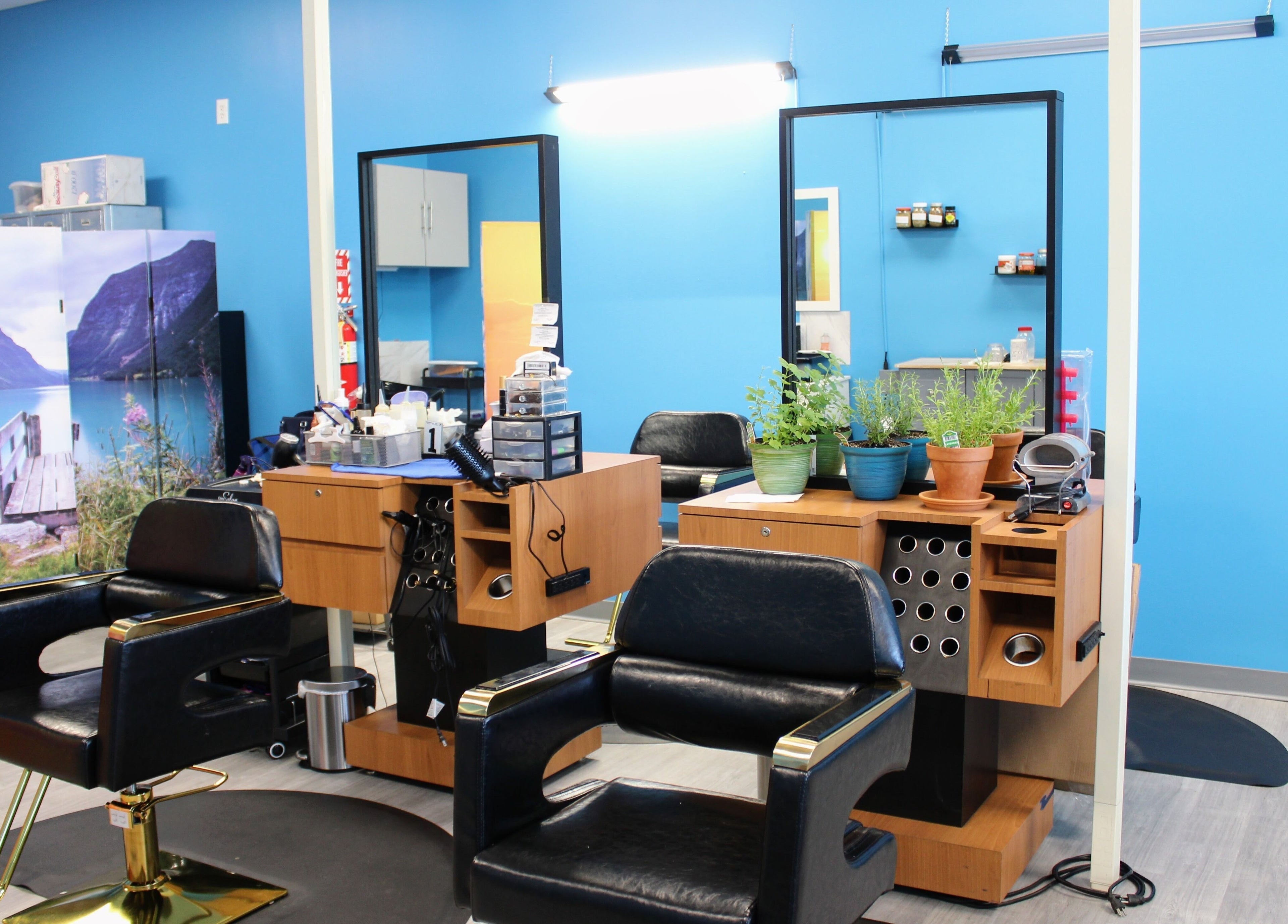 Modern salon chairs and natural decor at Naturally with Nature Hair & Scalp Studio, Columbus, Ohio, US.