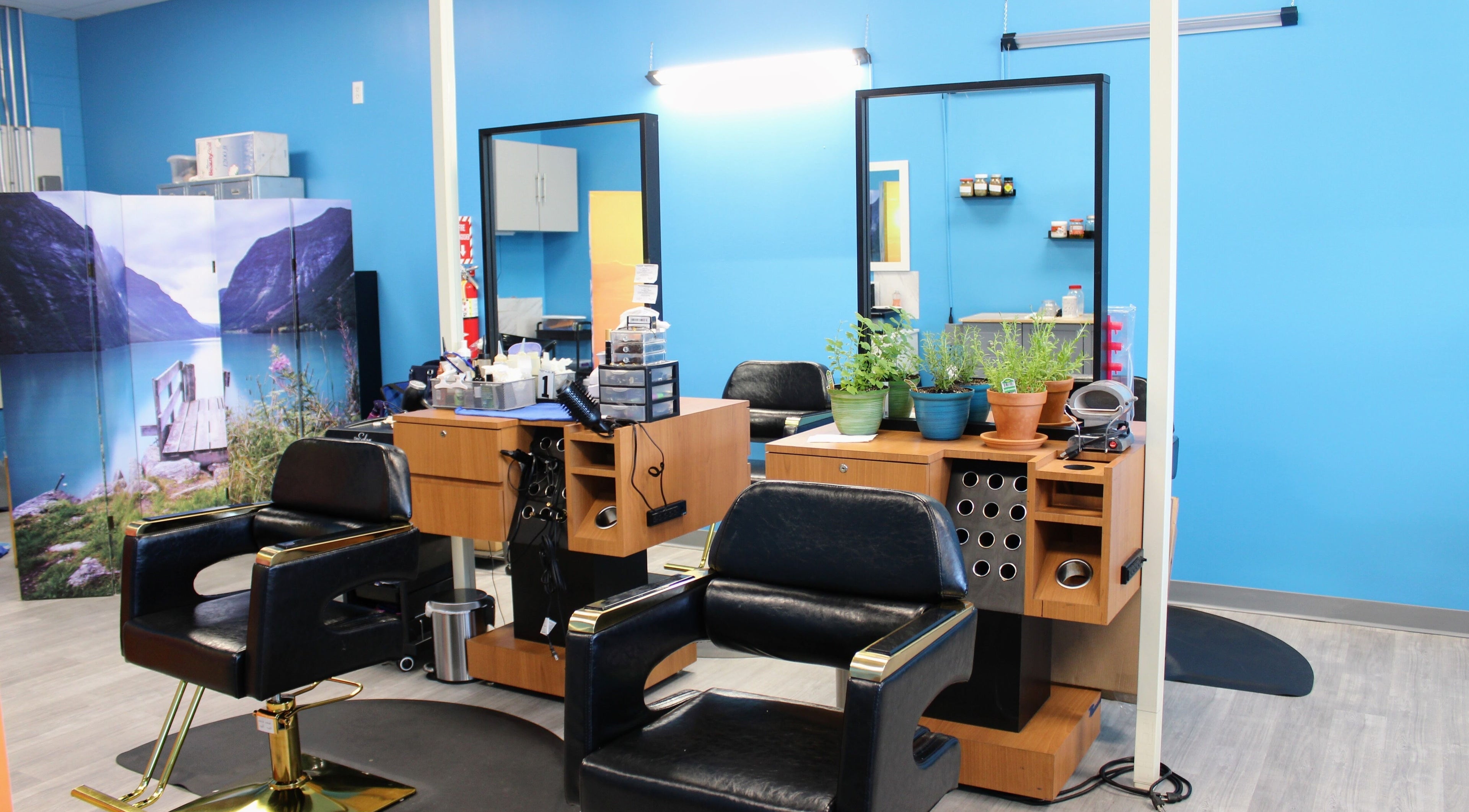 Modern salon chairs and natural decor at Naturally with Nature Hair & Scalp Studio, Columbus, Ohio, US.