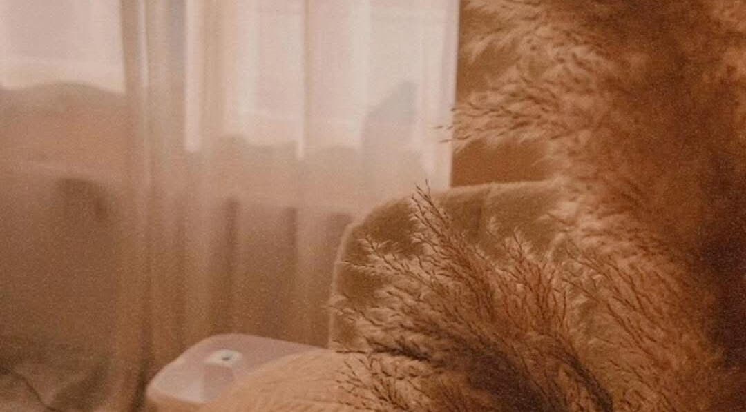 Cozy, warm-toned space in Mi Pia by Dani, Rotterdam, Zuid-holland, NL with soft lighting and natural decor.