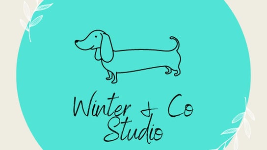 Winter & Co Studio