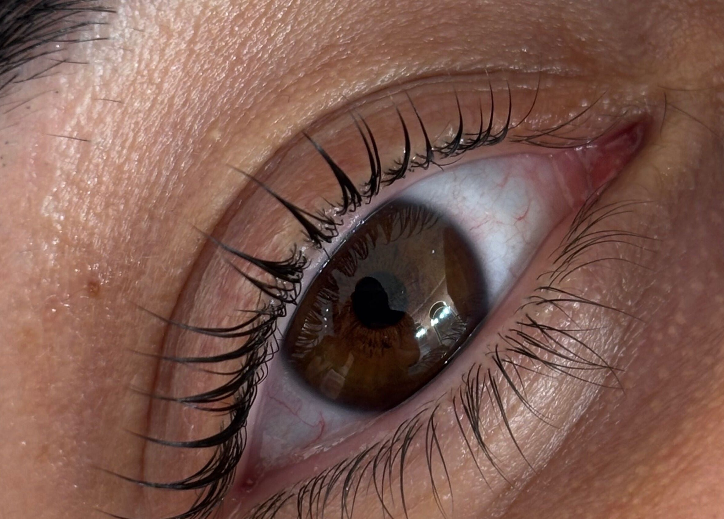 Close-up of styled eyelashes at Fabeauty - Private home-based beauty studio, Maroochydore, Queensland, AU.