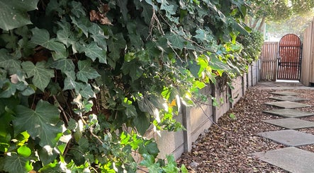Garden path at Lada Beauty Studio, Cape Town, Western Cape, ZA lined with lush ivy leaves.