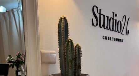 Cactus decor at Ola’s Studio26 in Cheltenham, England, GB, showcasing a stylish and serene environment.