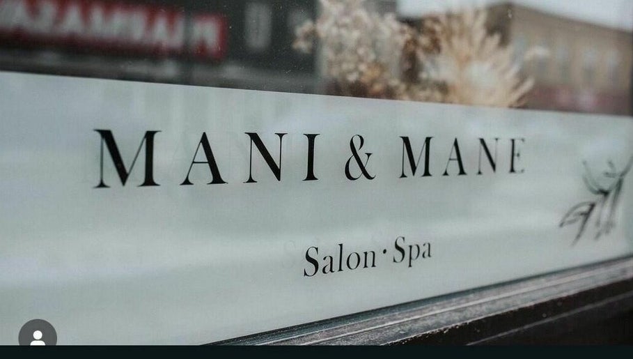 Immagine 1, Mani & Mane