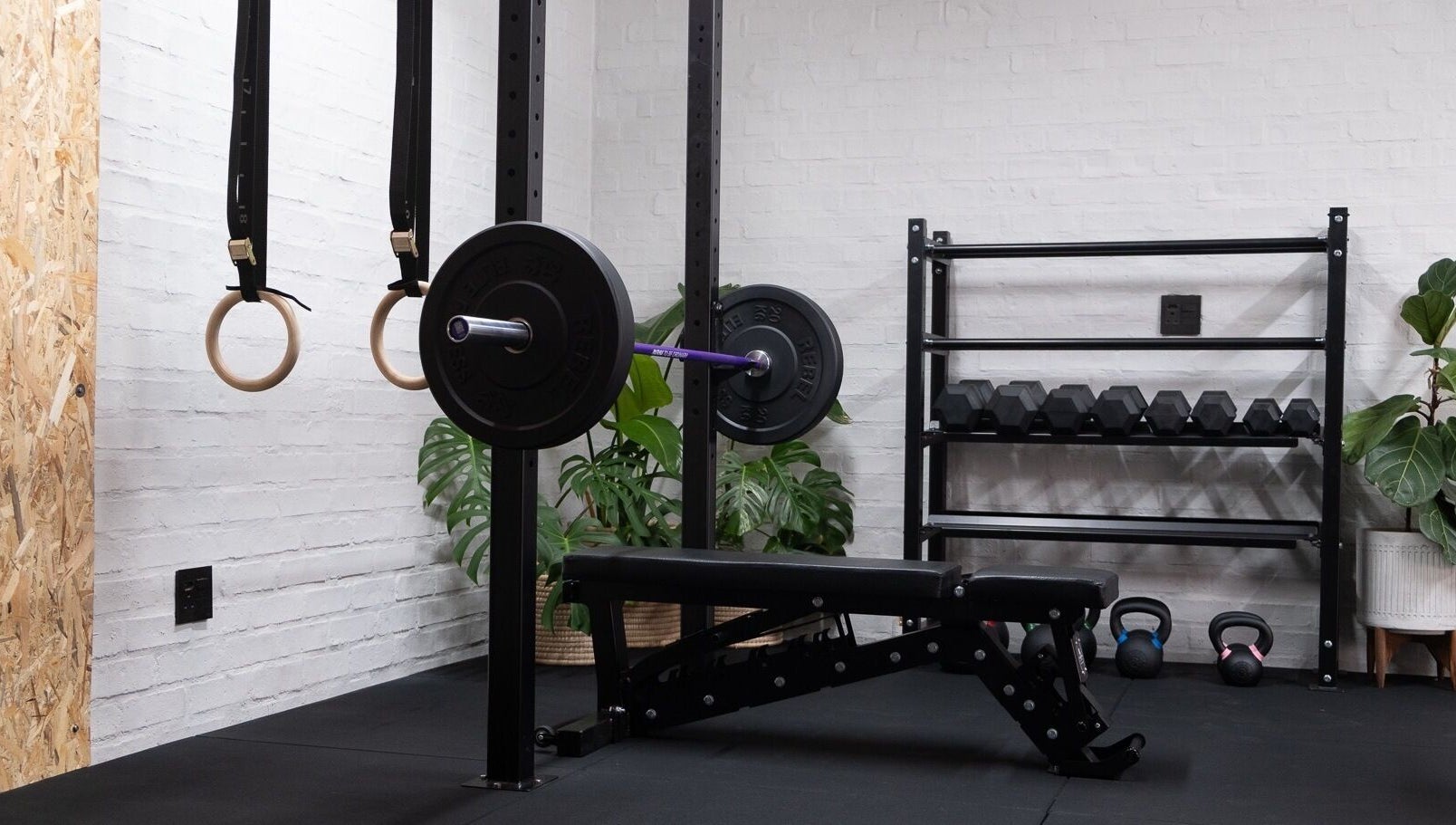 Modern gym setup at Seal Hybrid Performance, Cape Saint Francis, Eastern Cape, ZA, featuring weights and gym rings.