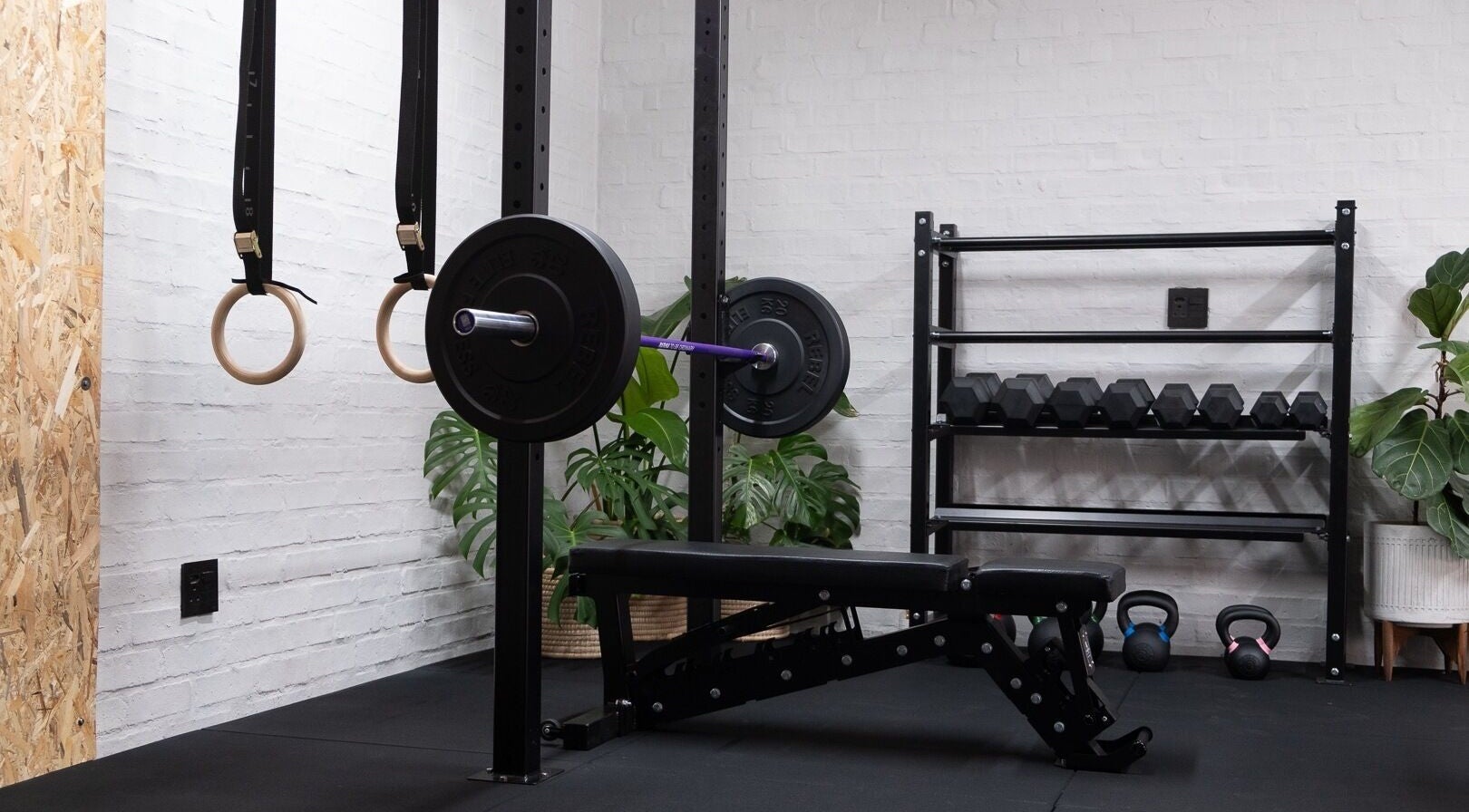 Modern gym setup at Seal Hybrid Performance, Cape Saint Francis, Eastern Cape, ZA, featuring weights and gym rings.