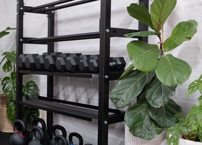 Fitness equipment at Seal Hybrid Performance, Cape Saint Francis, Eastern Cape, ZA with lush greenery.