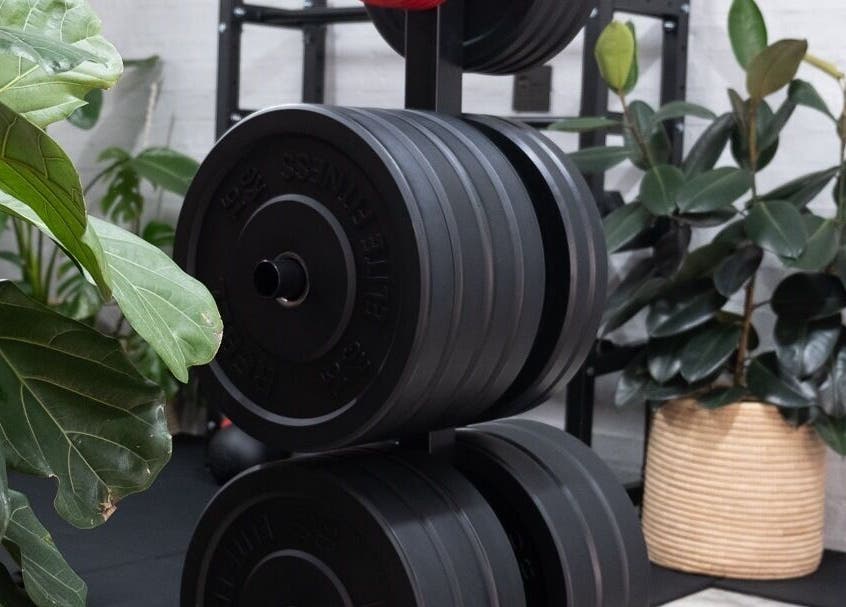 Weight plates with indoor plants at Seal Hybrid Performance, Cape Saint Francis, Eastern Cape, ZA.