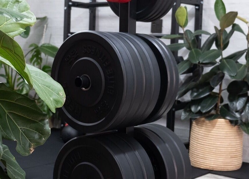 Weight plates with indoor plants at Seal Hybrid Performance, Cape Saint Francis, Eastern Cape, ZA.