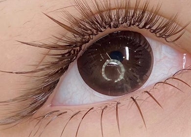 Close-up of a beautifully enhanced eyelash at Andrea’s Lashes, West Valley City, Utah, US.