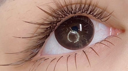 Close-up of a beautifully enhanced eyelash at Andrea’s Lashes, West Valley City, Utah, US.