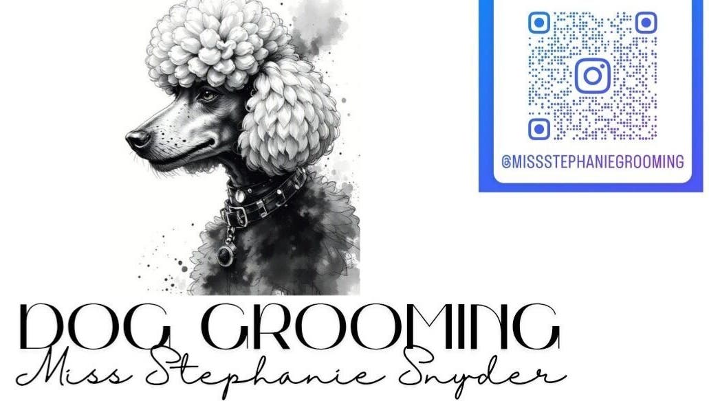 Chic poodle illustration for Groomed by Stephanie in Centralia, Illinois, US with Instagram QR code.