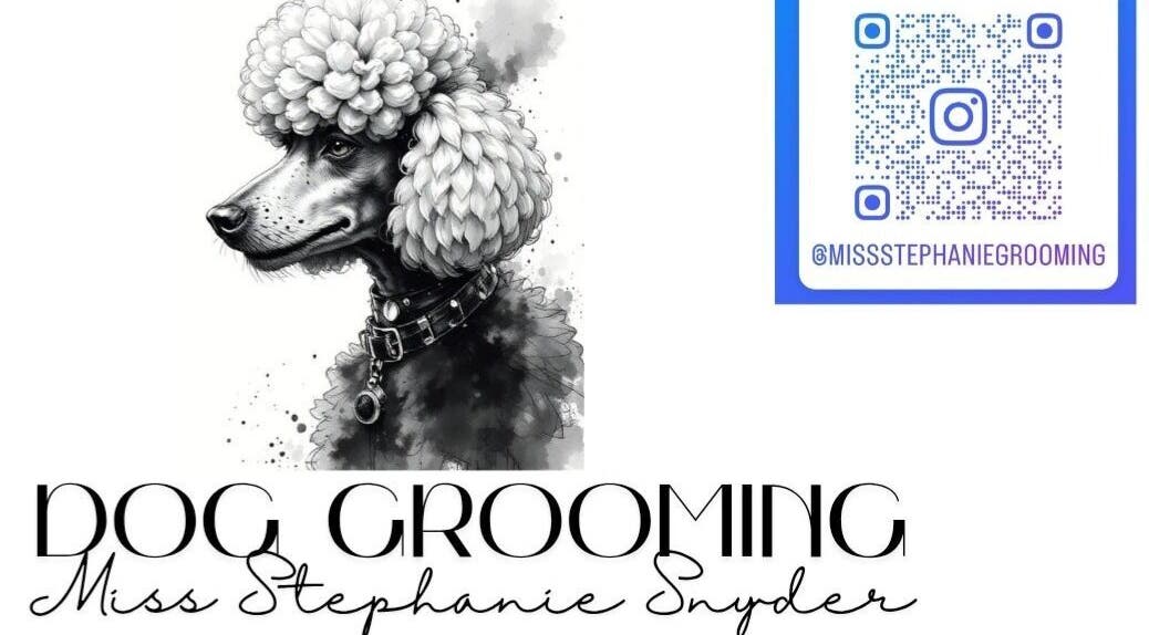 Chic poodle illustration for Groomed by Stephanie in Centralia, Illinois, US with Instagram QR code.