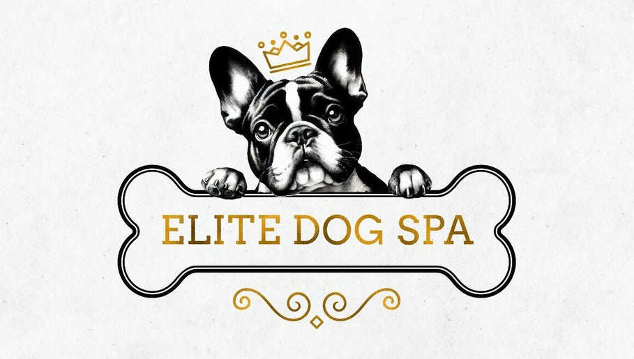 Elite Dog Spa troon image 1