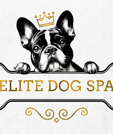Elite Dog Spa troon image 2