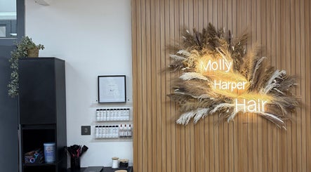 Molly Harper Hair – obraz 3