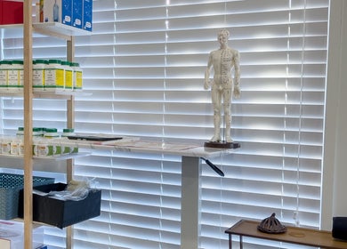 JF Acupuncture and Chinese Medicine herb shelves and acupuncture model in Wakerley, Queensland, AU.