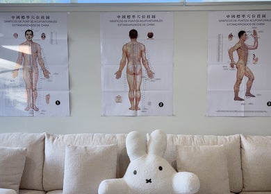 Traditional acupuncture charts above a cozy sofa at JF Acupuncture and Chinese Medicine, Wakerley, Queensland, AU.