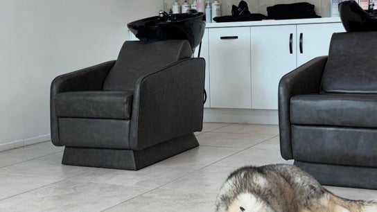 Bayse Hair Townsville