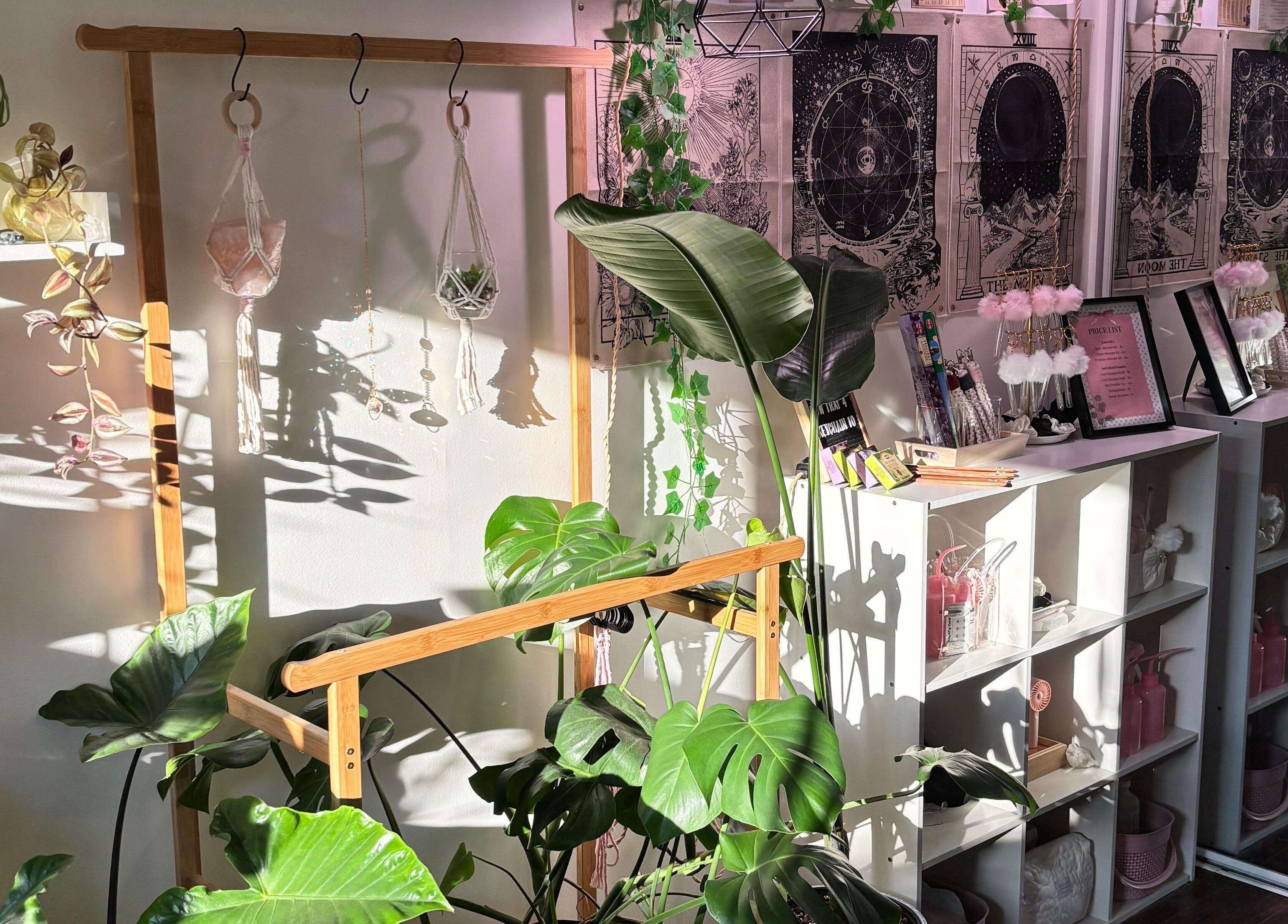 Relaxing indoor decor with plants at Lunaria Lash Loft in Barrie, Ontario, CA, enhancing the serene ambiance.