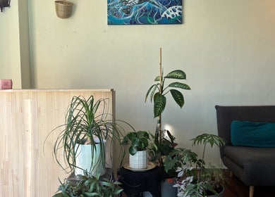 Relaxing reception area at Deep Tissue Therapies in Bondi, New South Wales, AU, featuring plants and cozy seating.