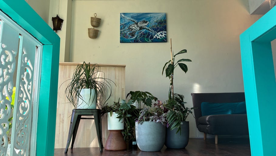 Inviting lounge with lush plants at Deep Tissue Therapies in Bondi, New South Wales, AU.