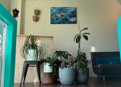Inviting lounge with lush plants at Deep Tissue Therapies in Bondi, New South Wales, AU.