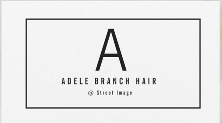 Adele Branch Hair