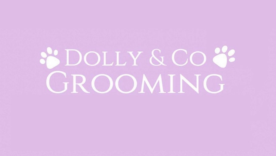 Dolly and Co Grooming image 1