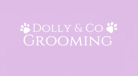 Dolly and Co Grooming