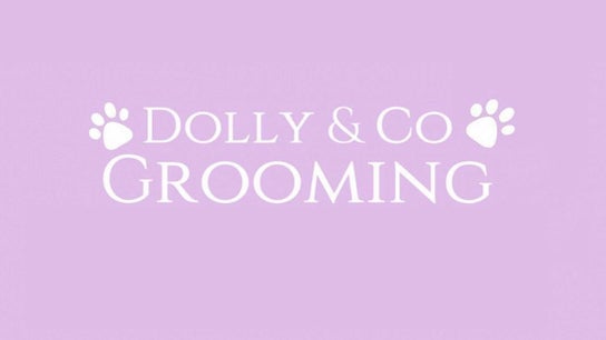 Dolly and Co Grooming