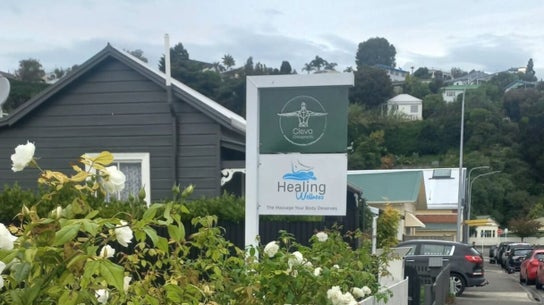 Healing Wellness NZ
