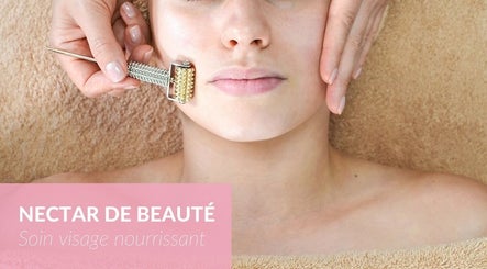 Estetic Bioatitude, bilde 3