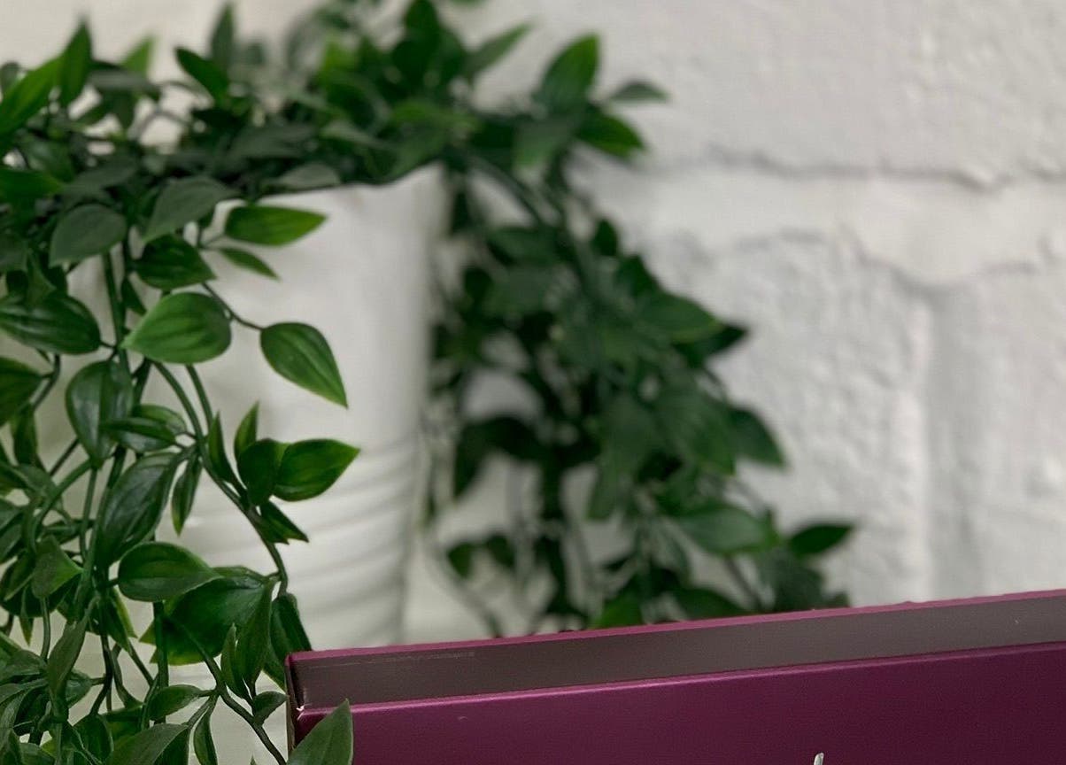 Lush greenery decor at Essentials Aesthetic Clinic, London, England, GB.